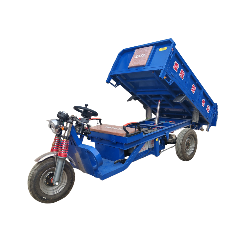 New national standard electric tricycle for hauling goods, high-power battery tricycle, household large three bounce electric vehicle, express delivery